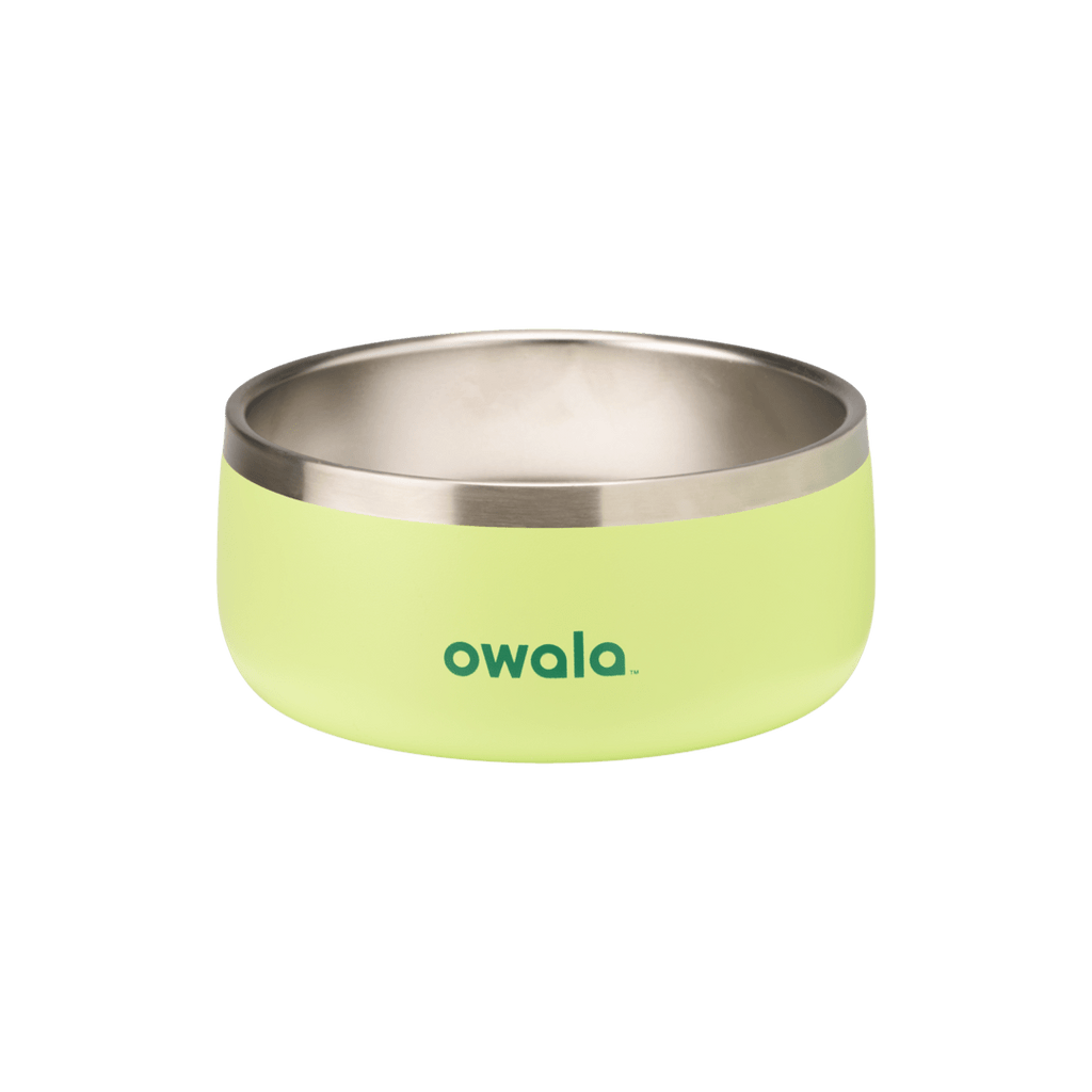 Pet Bowl - Sip Through Your Schedule
