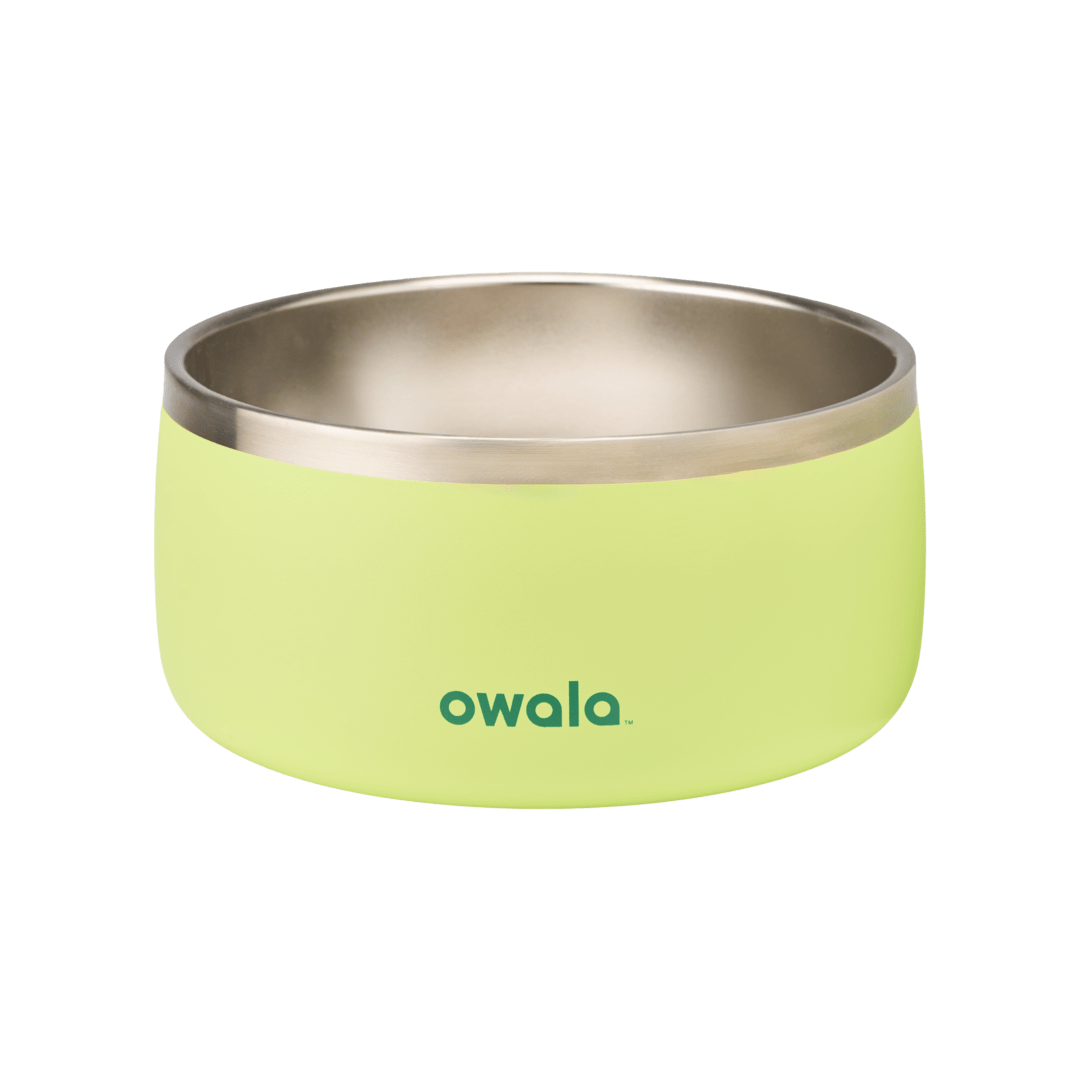 Pet Bowl - Sip Through Your Schedule