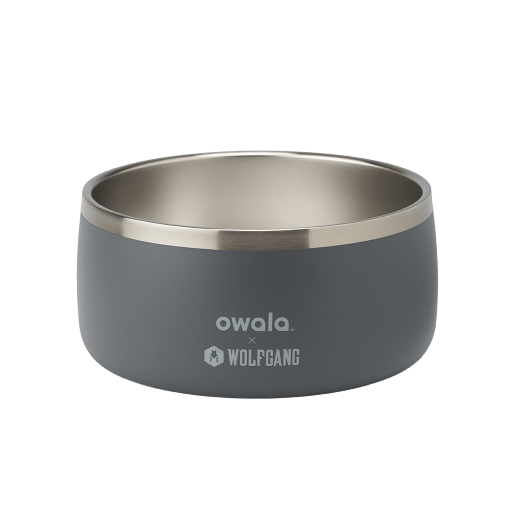 Pet Bowl - Sip Through Your Schedule
