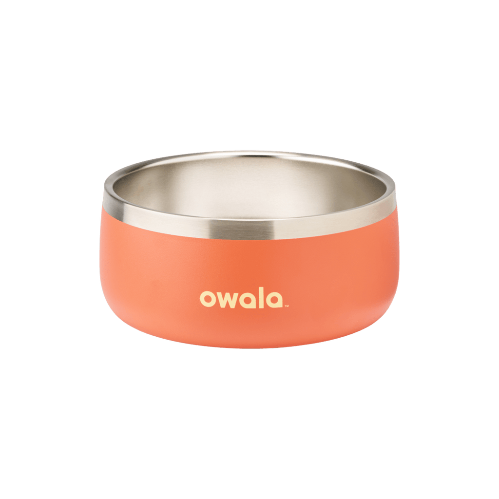 Pet Bowl - Sip Through Your Schedule