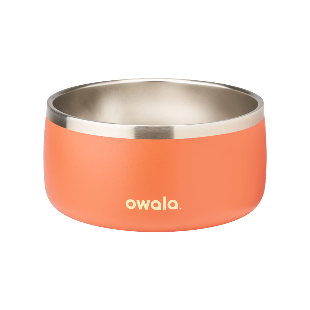 Pet Bowl - Sip Through Your Schedule