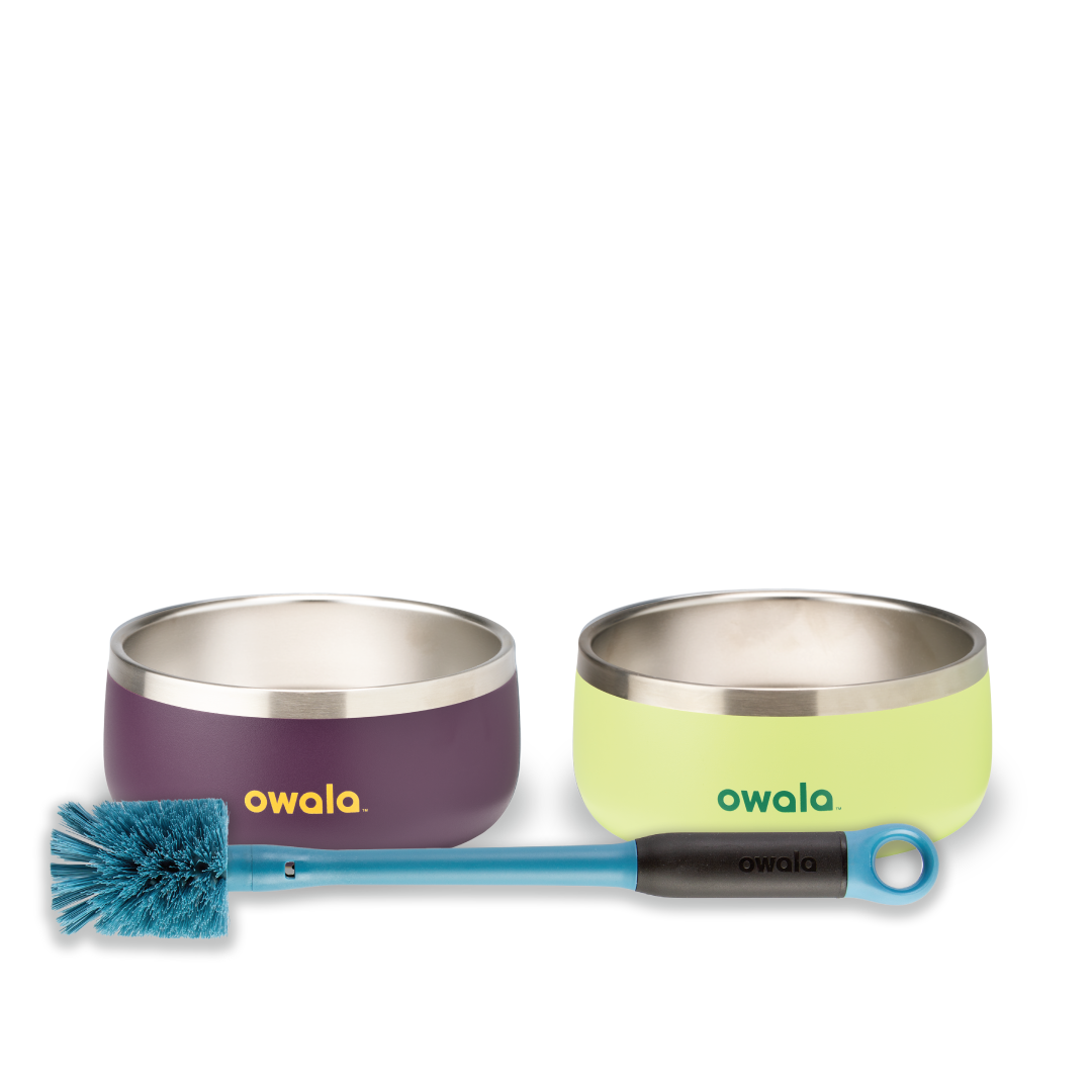 Pet Bowl Bundle - Gym Fresh School Ready