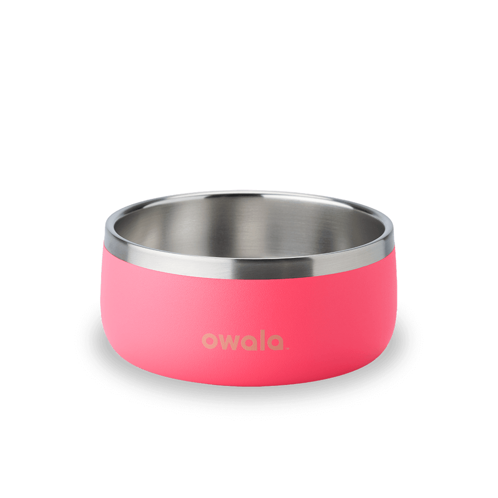 Pet Bowl - Sip Through Your Schedule