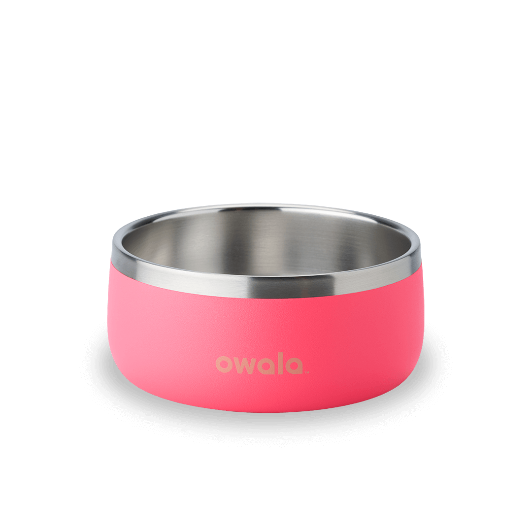 Pet Bowl - Sip Through Your Schedule