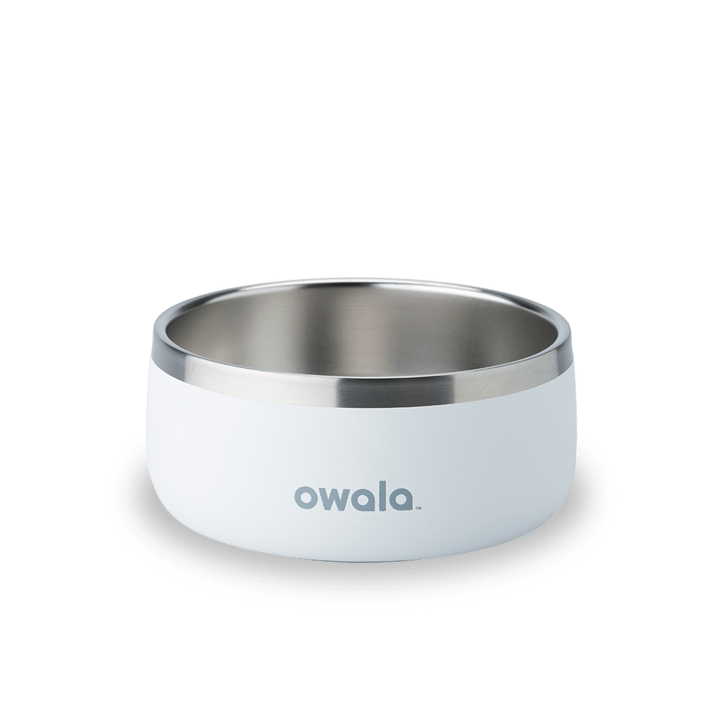 Pet Bowl - Sip Through Your Schedule