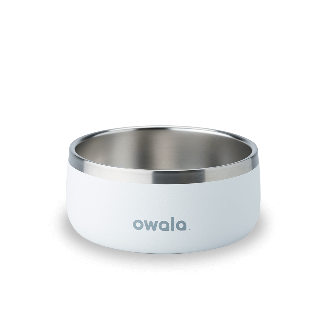 Pet Bowl - Sip Through Your Schedule