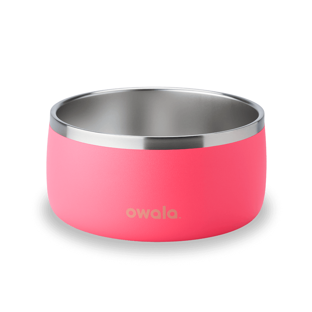 Pet Bowl - Sip Through Your Schedule