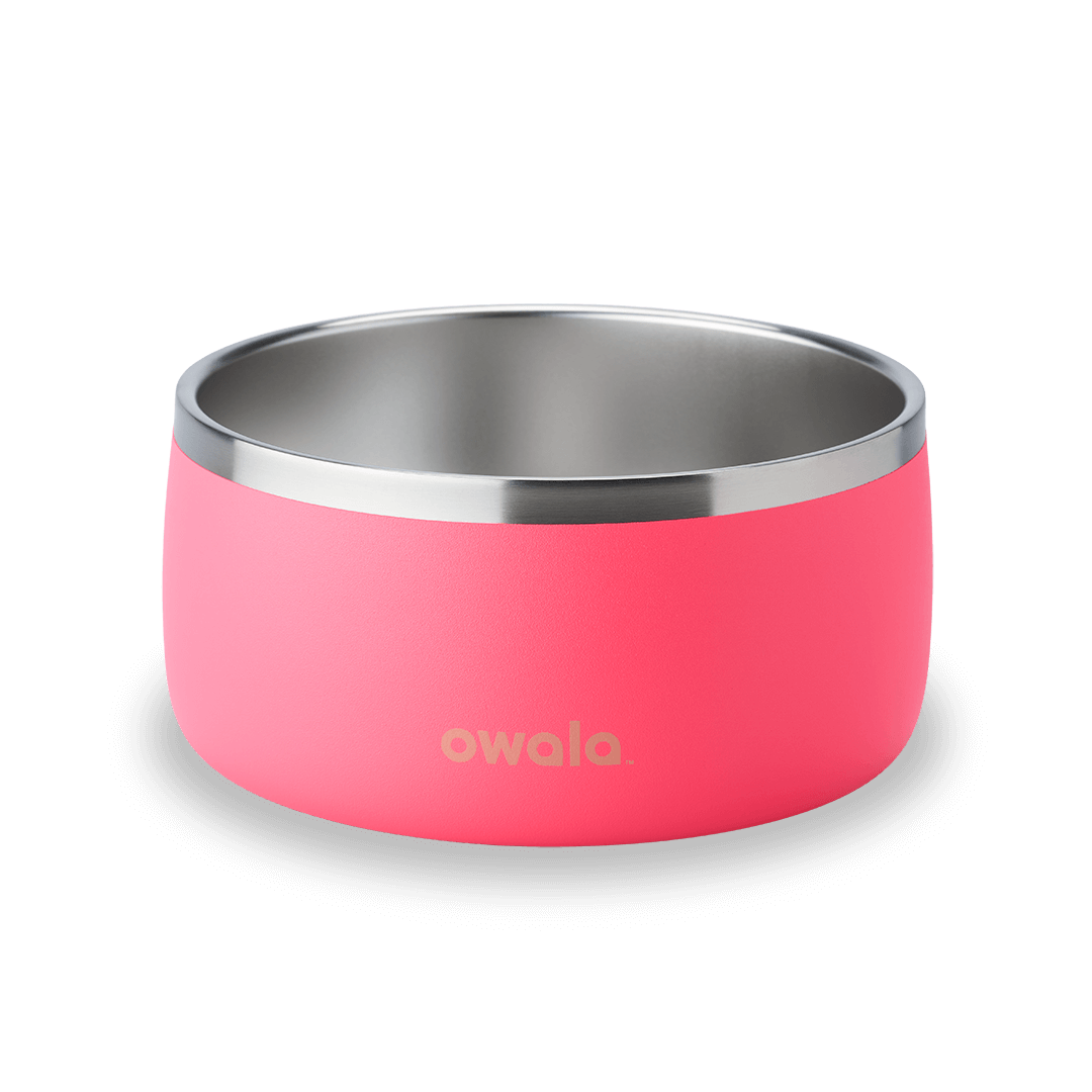 Pet Bowl - Sip Through Your Schedule