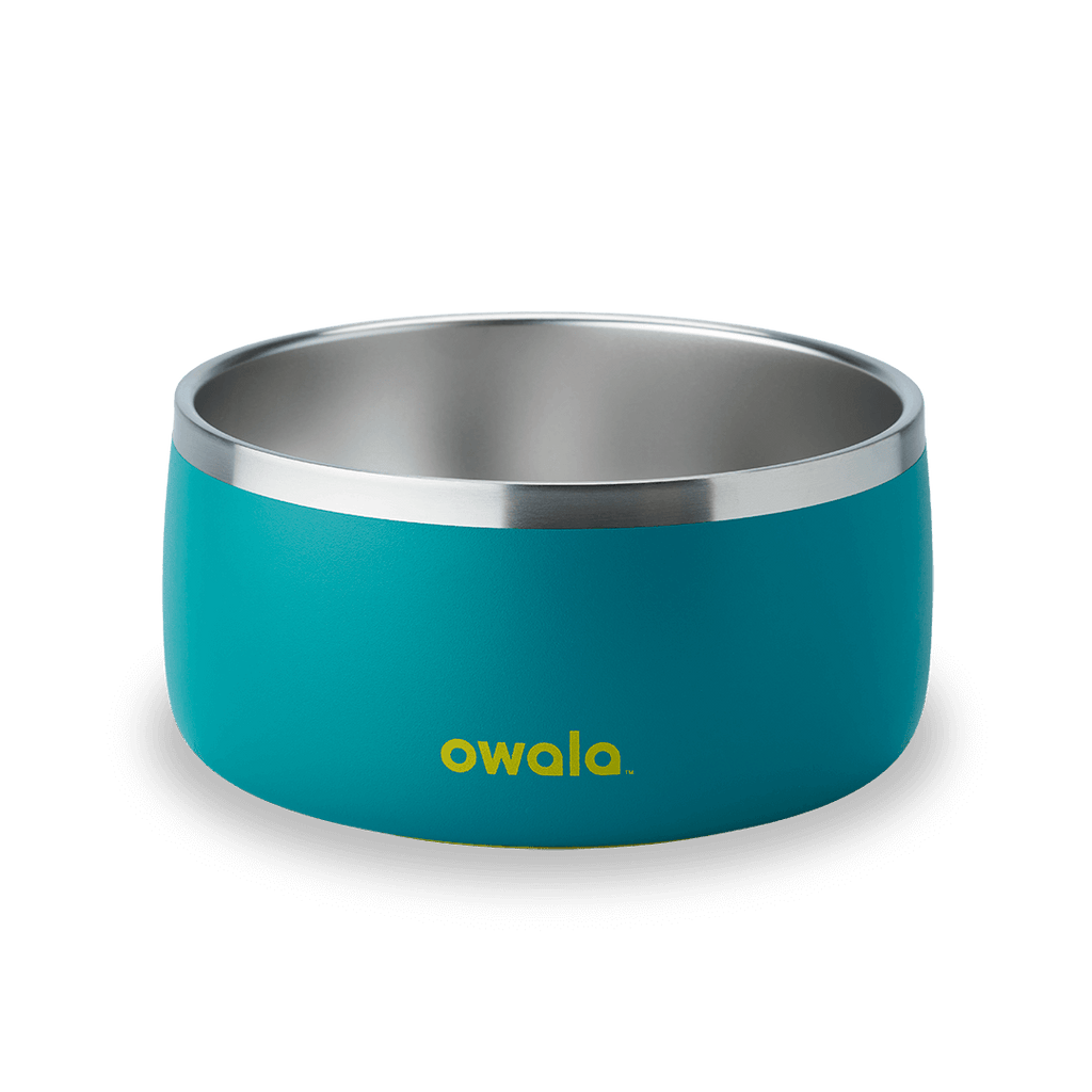 Pet Bowl - Sip Through Your Schedule