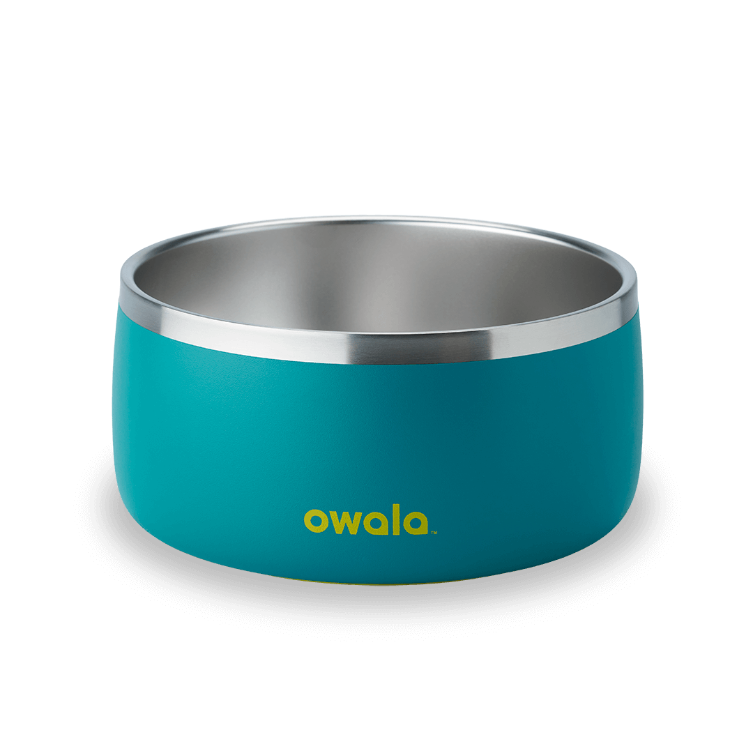 Pet Bowl - Sip Through Your Schedule