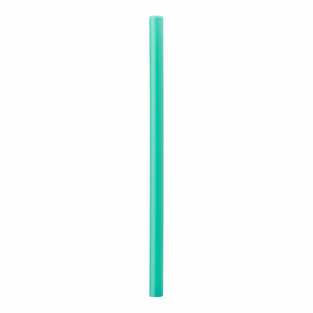 Replacement Straws - Your Everyday Water Bottle