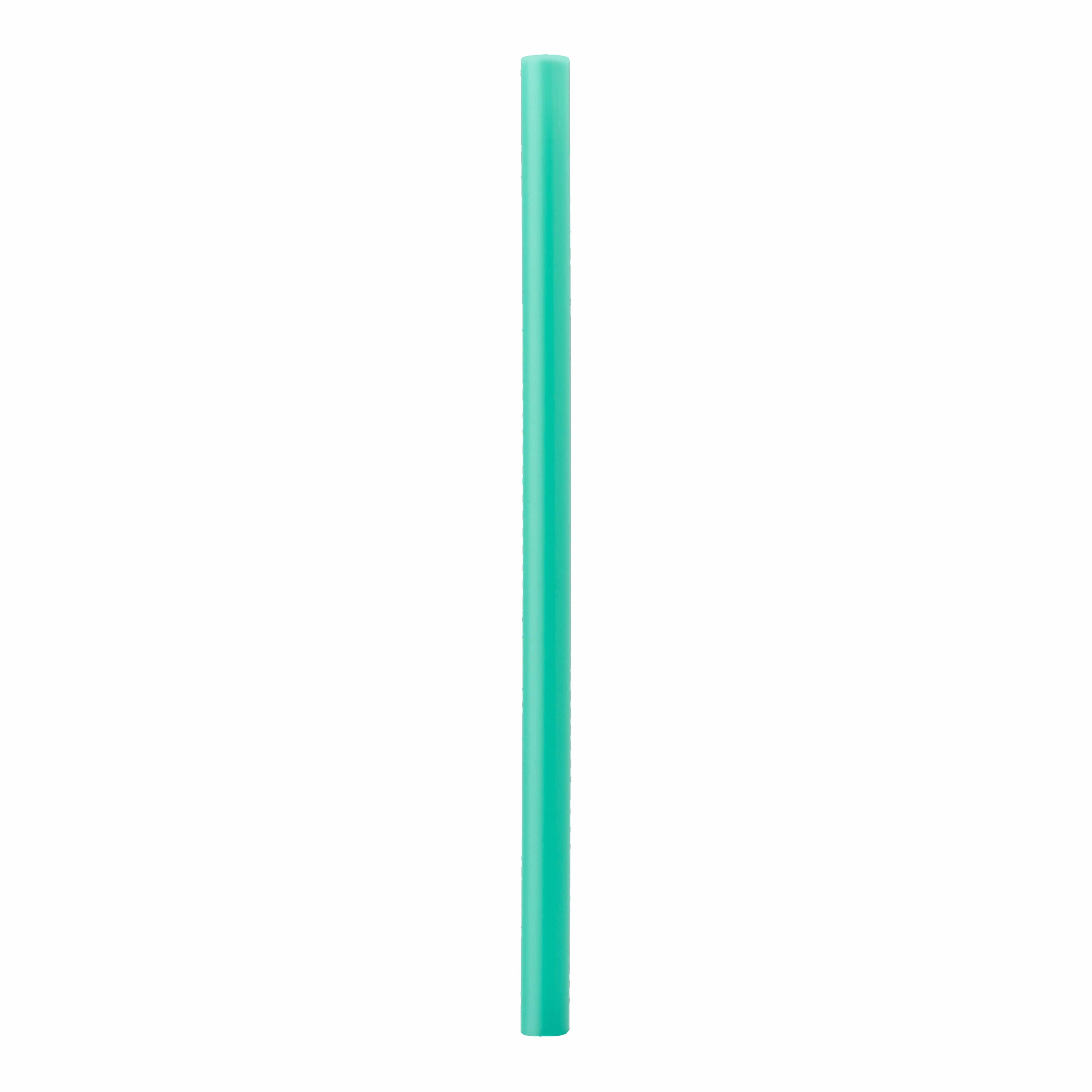 Replacement Straws - Your Everyday Water Bottle