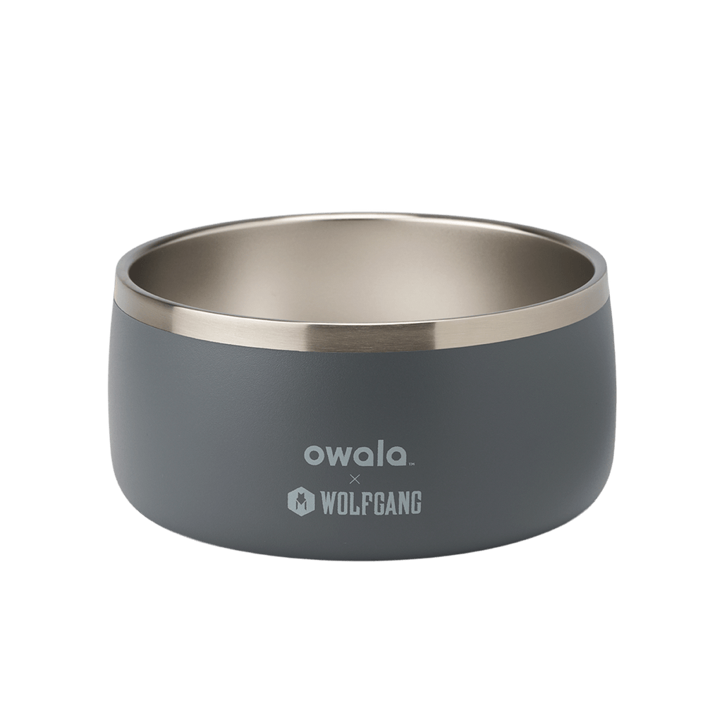 Pet Bowl - Sip Through Your Schedule
