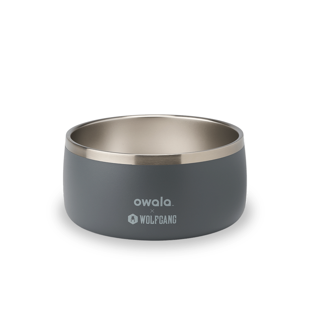 Pet Bowl - Sip Through Your Schedule